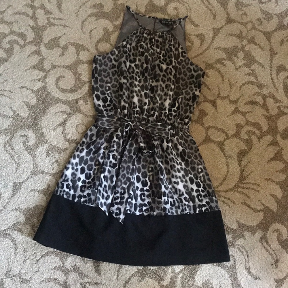 Express Cheetah Print Dress